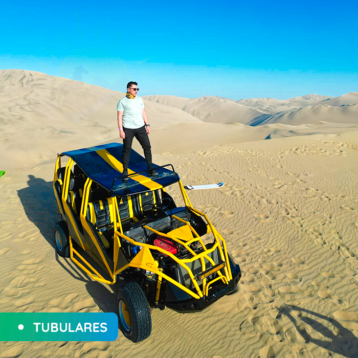 Full day Paracas - Ica - Imagen 4