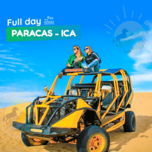 Full day Paracas - Ica